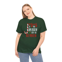 Jesus Is the Reason for the Season - T-Shirt