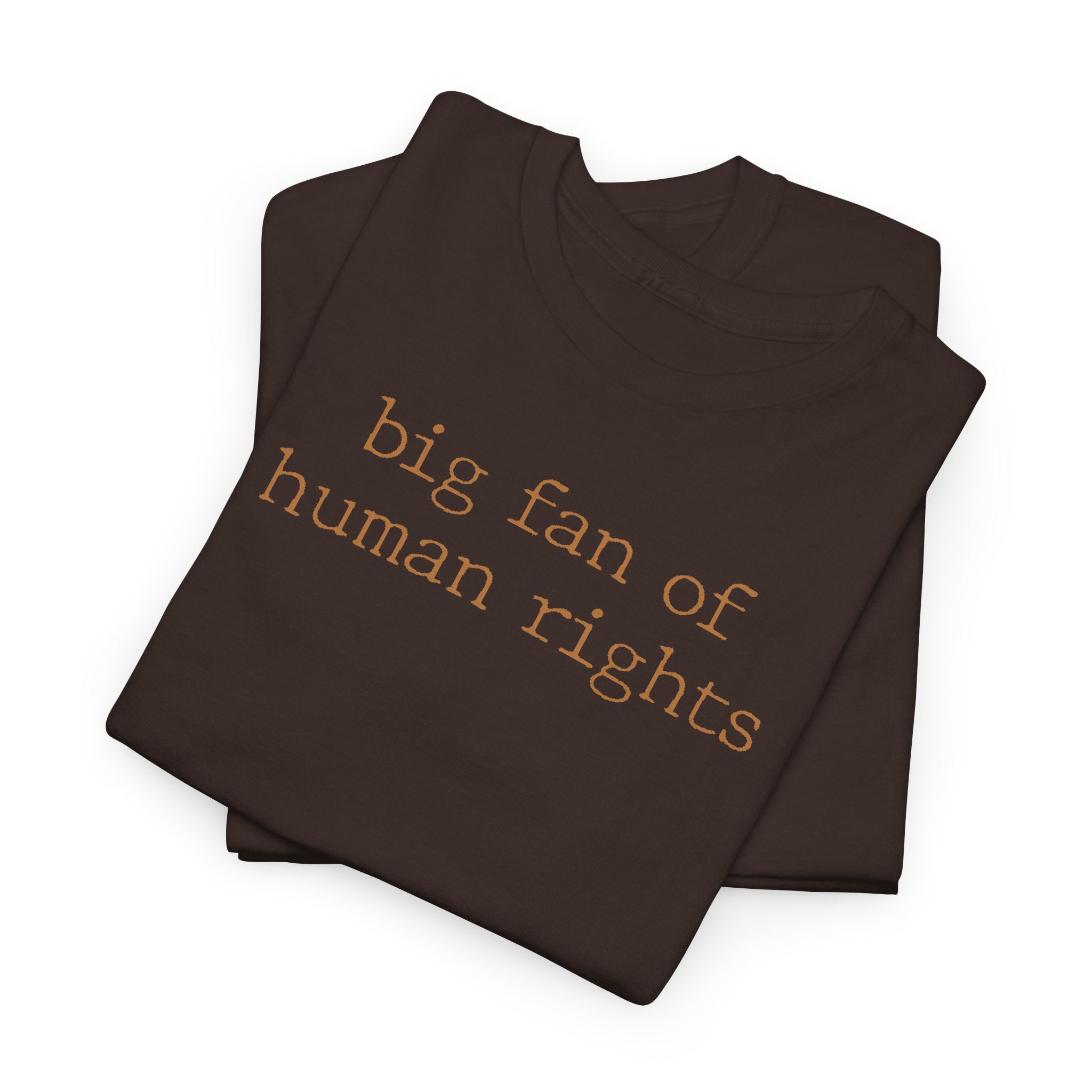 Big Fan of Human Rights - T-Shirt