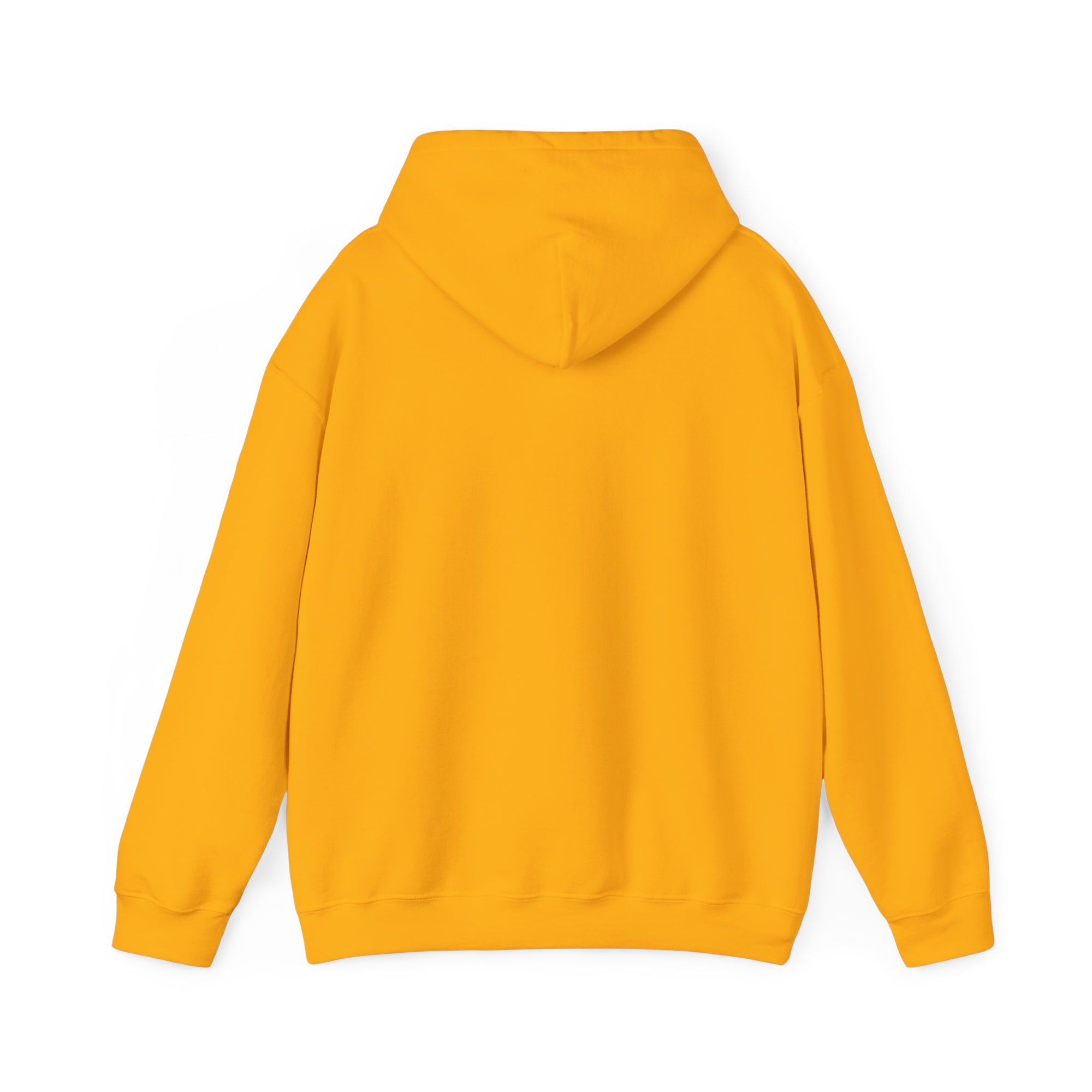 Arepa power unisex sweatshirt Venezuela, Colombia collection.