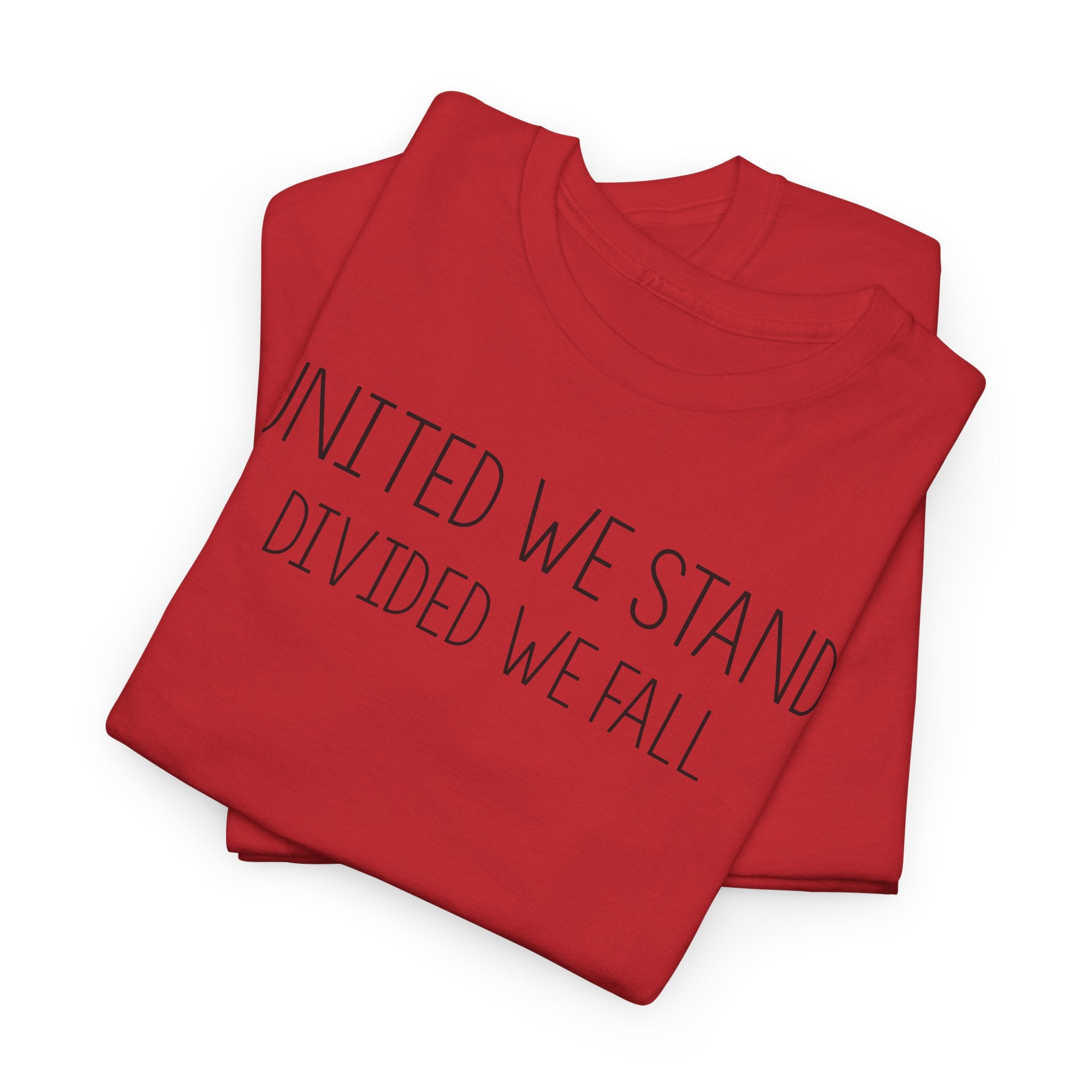 United We Stand, Divided We Fall - T-Shirt