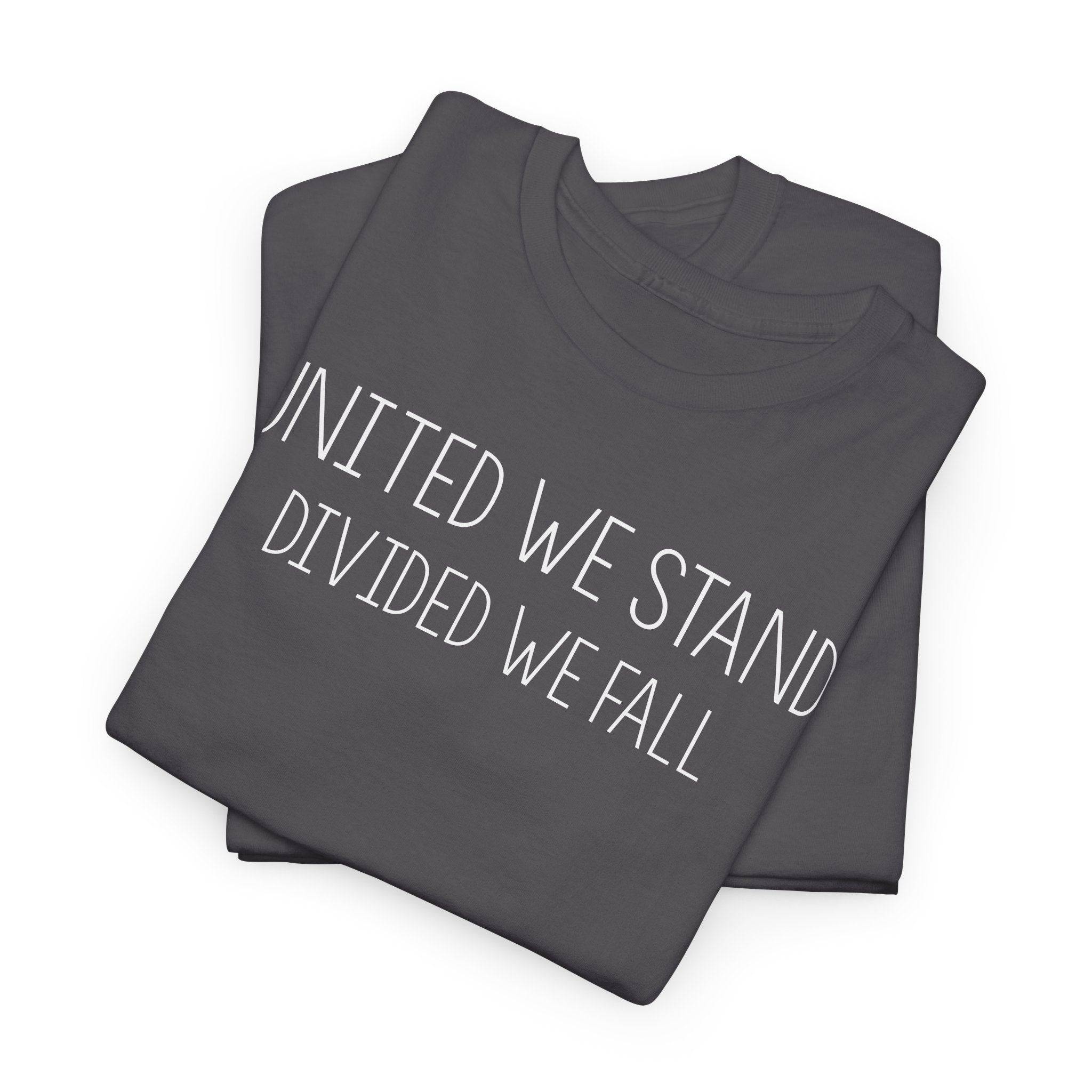 United We Stand, Divided We Fall - T-Shirt