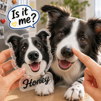 Custom Dog Nose Squishy Photo Magnet – Personalized Boopable Dog Face Fridge Magnet